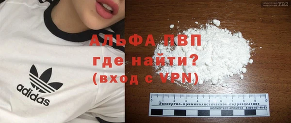 эйфоретик Арсеньев