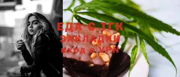 индика Аркадак