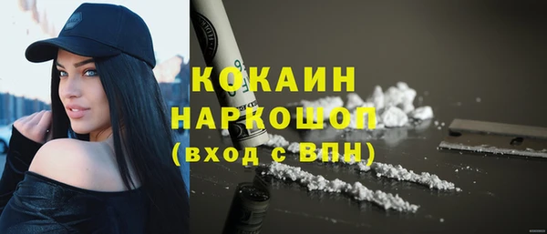 эйфоретик Арсеньев