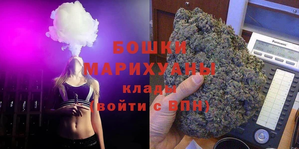 индика Аркадак