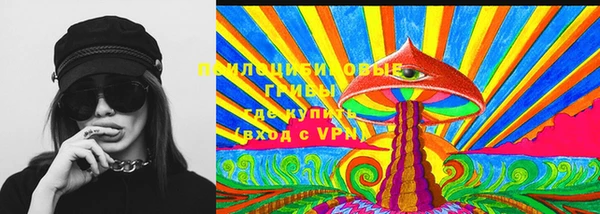 гидра Армянск