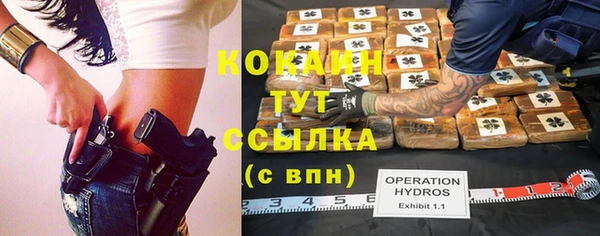 индика Аркадак