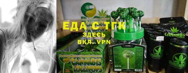 индика Аркадак