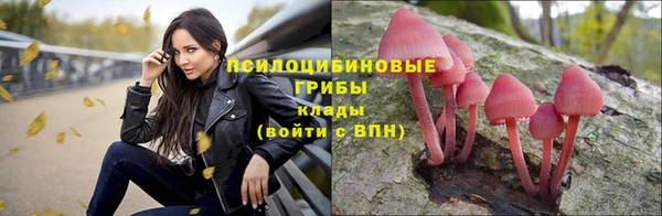 гидра Армянск
