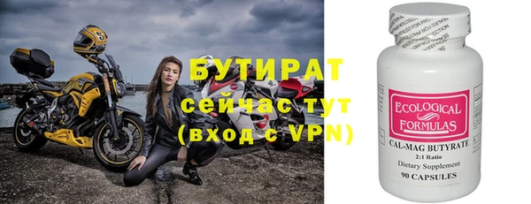 индика Аркадак